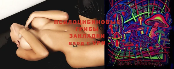 спиды Бронницы