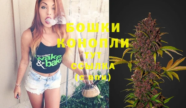 спиды Бронницы